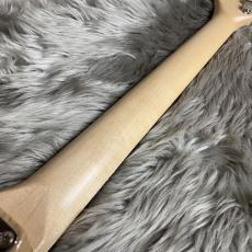 FREEDOM CUSTOM GUITAR RESEARCH C.S. Retro Series TE-TL HollowⅠ - Natural【現物画像】_8