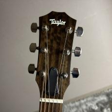 Taylor EG-214ce Urban Ash エレアコギター/島村楽器オリジナルモデル_7