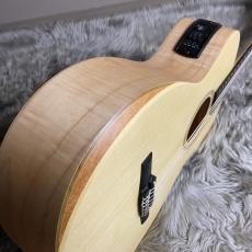 Taylor Limited Academy12e-nylon【現物画像】_3