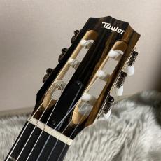 Taylor Limited Academy12e-nylon【現物画像】_5