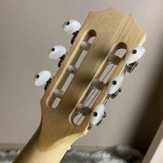 Taylor Limited Academy12e-nylon【現物画像】_6