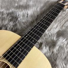 Taylor Limited Academy12e-nylon【現物画像】_7