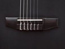 Ibanez TOD20FMN Black Burst Fade Low Gloss 【★予約受付商品/2026年9月末以降☆】_8