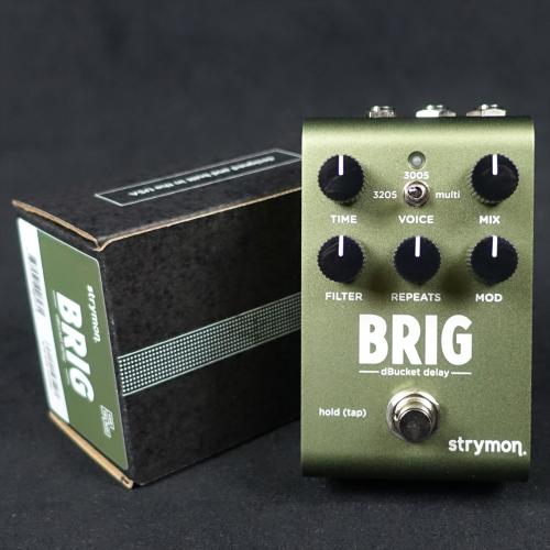 strymon BRIG
