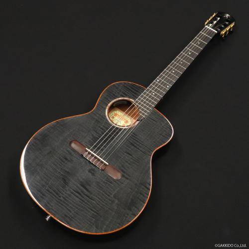 aNueNue aNN-LN77E