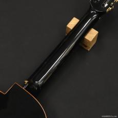 aNueNue aNN-LN77E_7