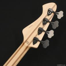 Aria Pro II RSB-700WP N(Natural)_8