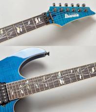 Ibanez 【美杢秀麗】RG8570 -RBS ( Royal Blue Sapphire)- j.custom #F2616624【3.88kg】_9