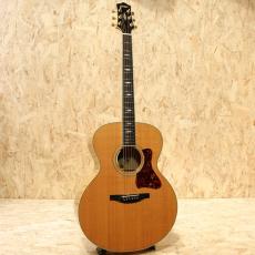Collings SJ  Figured Maple 1993_3