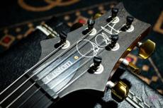 Paul Reed Smith [PRS] KID Limited Custom 24 Chamber 10Top Blue Matteo (Pattern Regular Neck) / 2014_4
