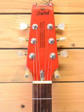 Aria Pro II PE-1000/Custom Color_3