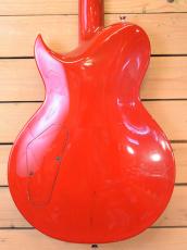 Aria Pro II PE-1000/Custom Color_4