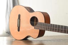 aNueNue Bird Guitar aNN-MN14_2