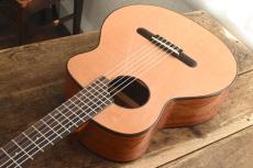 aNueNue Bird Guitar aNN-MN14_8