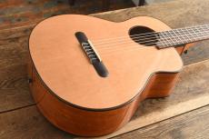 aNueNue Bird Guitar aNN-MN14_9