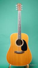 Martin D-35_2