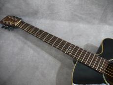DCT X-300CE _6