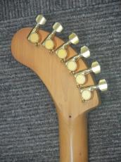 FERNANDES ZO-3 芸達者 FMG_6