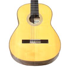 Niibori Guitar NP-10H