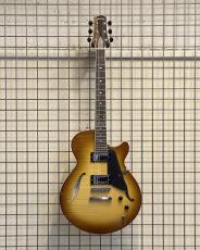 Sadowsky Semi-Hollow Model
