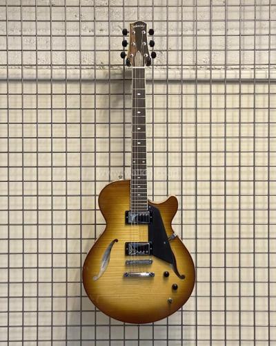 Sadowsky Semi-Hollow Model