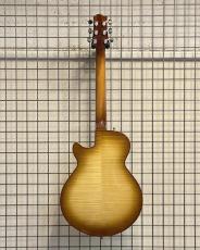 Sadowsky Semi-Hollow Model_2