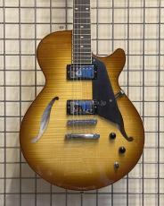 Sadowsky Semi-Hollow Model_3