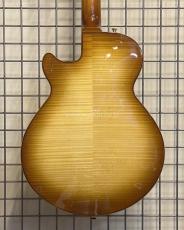 Sadowsky Semi-Hollow Model_4