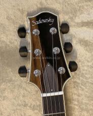 Sadowsky Semi-Hollow Model_5