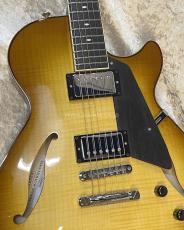Sadowsky Semi-Hollow Model_6