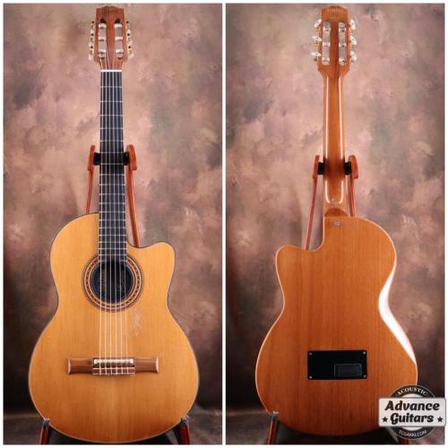 Gibson Chet Atkins