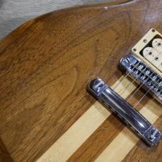 Gretsch Beast BST-5000 / Model 8250 Walnut 1979 【Fred Gretsch サイン入り】【USED】_4