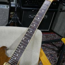 Gretsch Beast BST-5000 / Model 8250 Walnut 1979 【Fred Gretsch サイン入り】【USED】_5