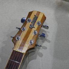 Gretsch Beast BST-5000 / Model 8250 Walnut 1979 【Fred Gretsch サイン入り】【USED】_7
