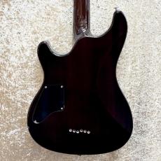 SCHECTER RJ-1-24TOM_2