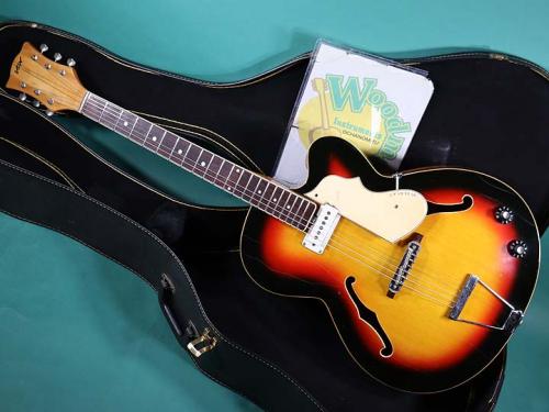 VOX V254 WILDCAT