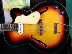 VOX V254 WILDCAT_2