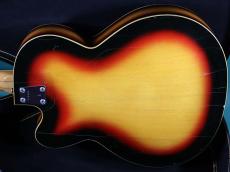 VOX V254 WILDCAT_3
