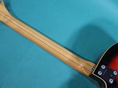 VOX V254 WILDCAT_8