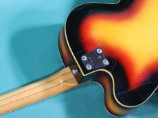 VOX V254 WILDCAT_9
