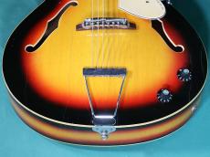 VOX V254 WILDCAT_11