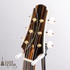 Voyager Guitars VD Domed Top/Cylindrical Back_6