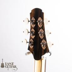 Voyager Guitars VD Domed Top/Cylindrical Back_7