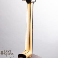 Voyager Guitars VD Domed Top/Cylindrical Back_8