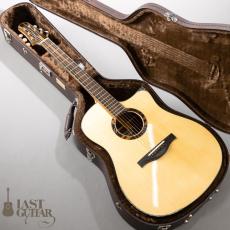 Voyager Guitars VD Domed Top/Cylindrical Back_15