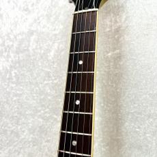 Gibson Les Paul Special_4