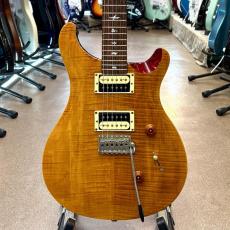Paul Reed Smith [PRS] SE Custom 24