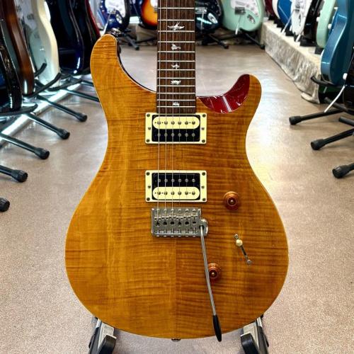 Paul Reed Smith [PRS] SE Custom 24