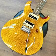 Paul Reed Smith [PRS] SE Custom 24_2