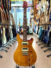 Paul Reed Smith [PRS] SE Custom 24_3